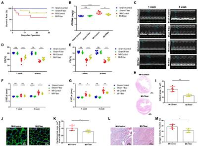 High fiber diet attenuate the inflammation and adverse remodeling of myocardial infarction via modulation of gut microbiota and metabolites